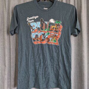 NWT Box Lunch Disney T-shirt Unisex S Lion King "Greetings from Pride Rock"